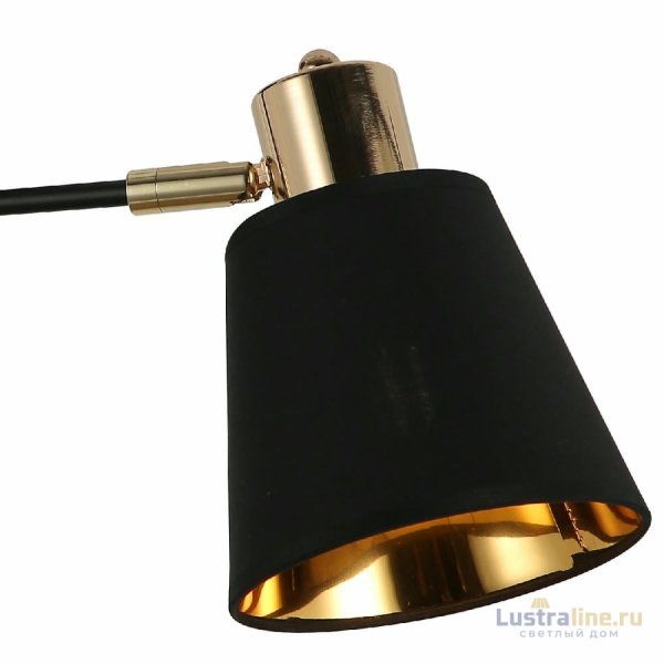 Потолочный светильник Illumico IL6116-2COU-79 BK GD Abelie Потолочный светильник Illumico IL6116-2COU-79 BK GD Abelie