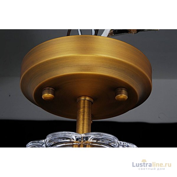 Потолочный светильник Arte Lamp Schelenberg A4410PL-1SR