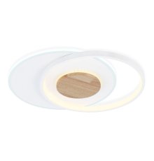 Потолочный светильник Ambrella Light Linetech Comfort FL4788
