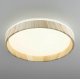 Потолочный светильник Citilux Enzo CL753352G