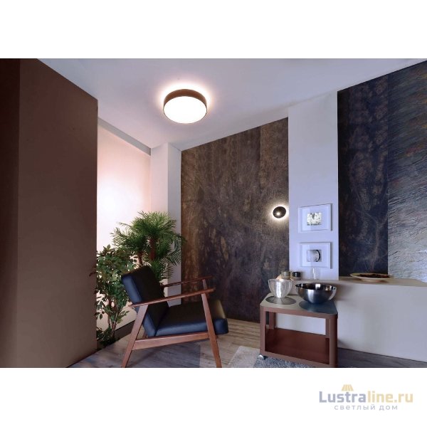 Потолочный светильник Deko-Light Menkar 348131 Потолочный светильник Deko-Light Menkar 348131