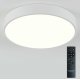 Потолочный светильник Natali Kovaltseva LED LAMPS 81112/5C