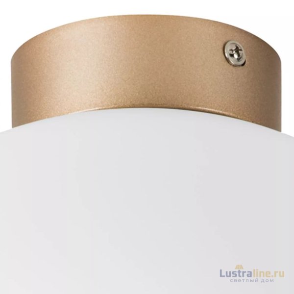 Потолочный светильник Lightstar Globo 812033 Потолочный светильник Lightstar Globo 812033