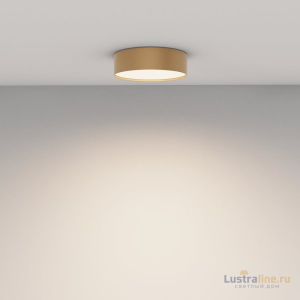 Потолочный светильник Maytoni Technical Ceiling Zon C032CL-24W4K-RD-MG