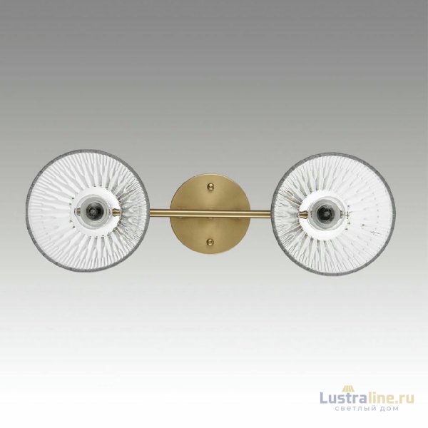 Потолочный светильник Lumion Vivian 8188/2C