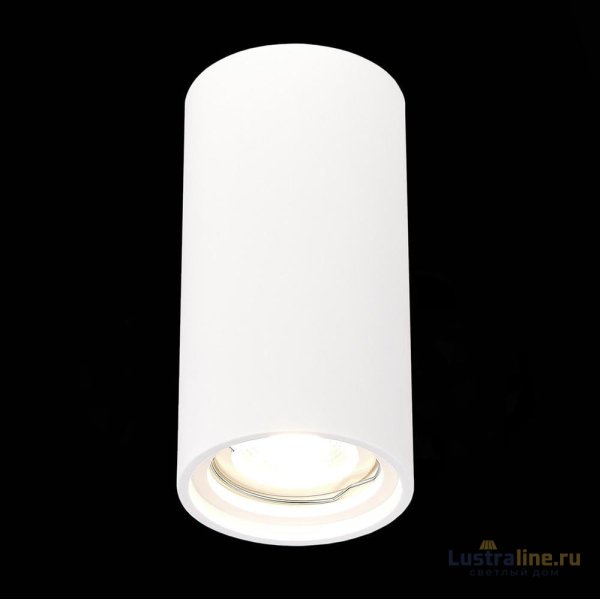 Потолочный светильник ST Luce ST155.502.01