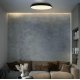Потолочный светильник Loft IT Brim 10226 Black