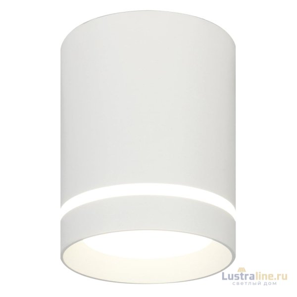 Потолочный светильник 20009 20009SMU/01LED SWH Потолочный светильник 20009 20009SMU/01LED SWH