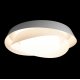 Потолочный светильник Loft IT Petale 10256 White