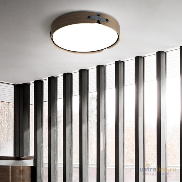 Потолочный светильник ImperiumLoft Range 195540-26 Потолочный светильник ImperiumLoft Range 195540-26