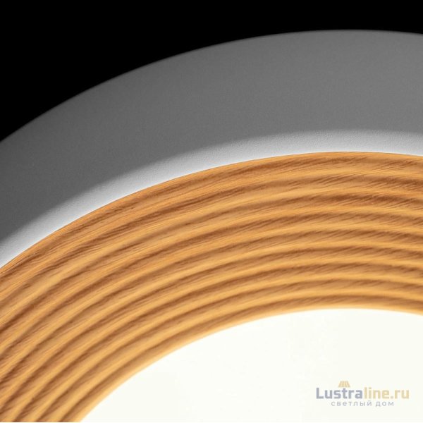Потолочный светильник Loft IT Folk 10255/350 White Потолочный светильник Loft IT Folk 10255/350 White