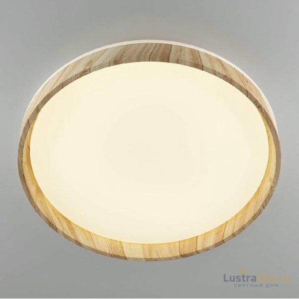 Потолочный светильник Citilux Enzo CL753452G Потолочный светильник Citilux Enzo CL753452G