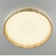 Потолочный светильник Citilux Enzo CL753452G