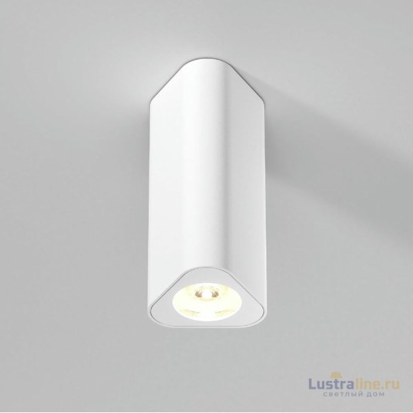Потолочный светильник Elektrostandard Trio 25110/LED 4690389205842 a067063
