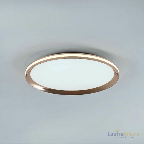 Потолочный светильник LED4U L3020-400 GD Потолочный светильник LED4U L3020-400 GD