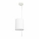 Потолочный светильник Loft IT Ritz 10253P White
