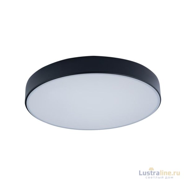 Потолочный светодиодный светильник Loft IT Axel 10002/24 black