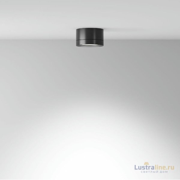 Потолочный светильник Maytoni Technical Hoop C086CL-GX53-SRD-B