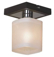 Потолочный светильник Lussole Costanzo GRLSL-9007-01