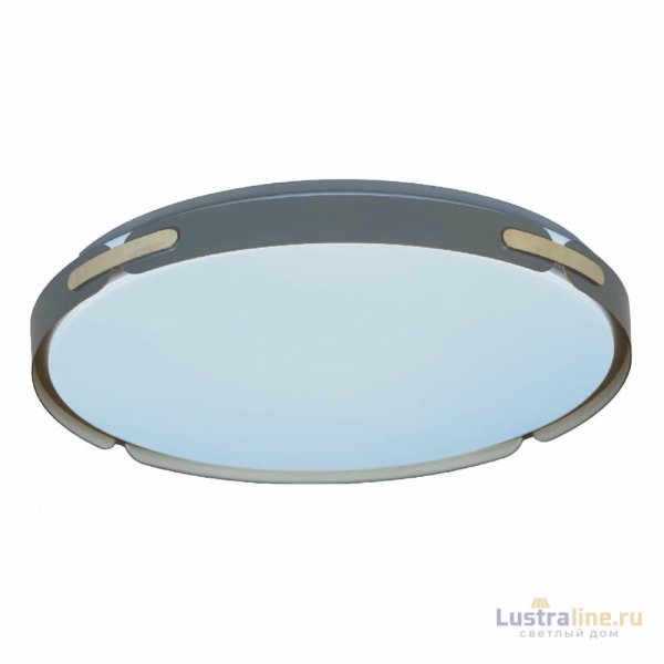 Потолочный светильник Lumina Deco Paneli LDC 8063-48W BL