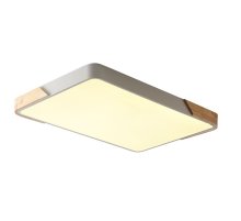 Потолочный светильник Zortes Alberro ZRS.01233.60