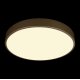 Потолочный светильник Loft IT Flims 10228/A