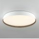 Потолочный светильник Citilux Bonny CL754450G