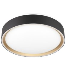 Потолочный светильник Citilux Boss CL751251G