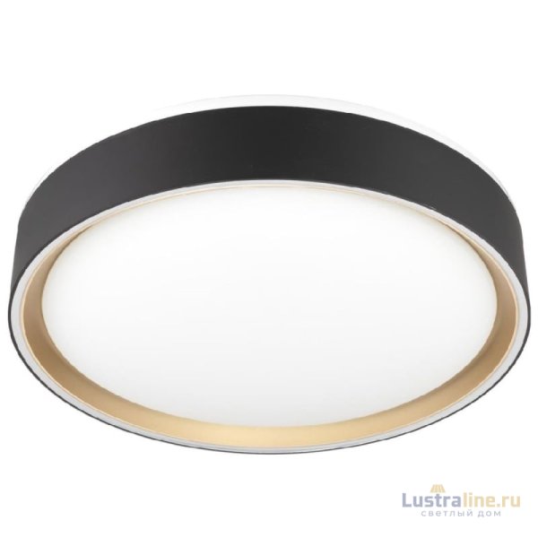 Потолочный светильник Citilux Boss CL751251G