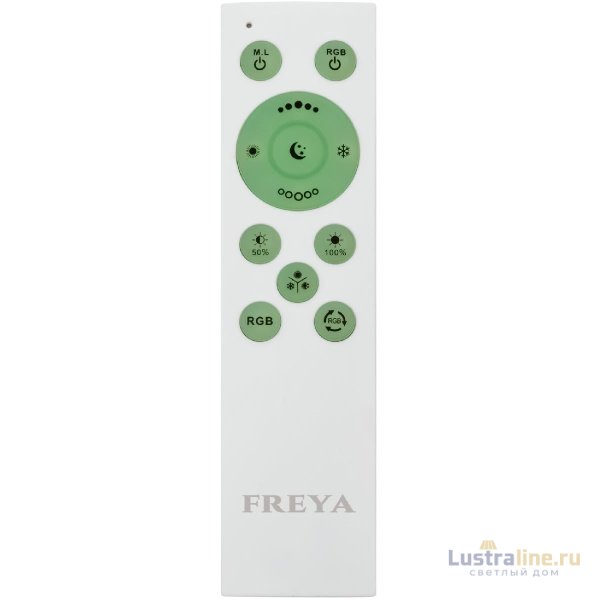 Потолочный светильник Freya Cells FR10012CL-L24W