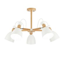 Потолочный светильник EVOLUCE BALCAMO SLE103802-05