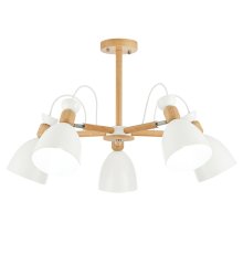 Потолочный светильник EVOLUCE BALCAMO SLE103802-05