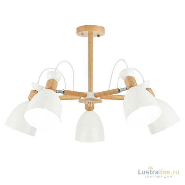 Потолочный светильник EVOLUCE BALCAMO SLE103802-05
