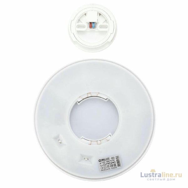 Потолочный светильник Citilux Etalon CL750240