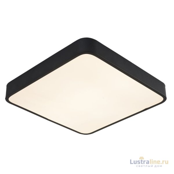 Потолочный светильник Arte Lamp A2663PL-1BK