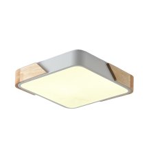 Потолочный светильник Zortes Alberro ZRS.01285.60