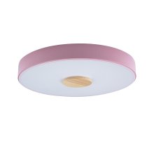 Потолочный светильник Loft IT AXEL 10003/24 Pink