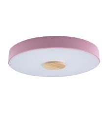 Потолочный светильник Loft IT AXEL 10003/24 Pink