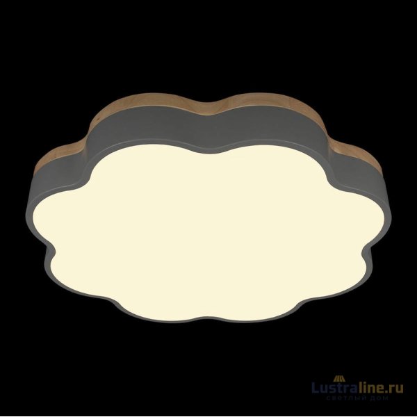 Потолочный светильник Loft IT Axel 10225/36 Grey Потолочный светильник Loft IT Axel 10225/36 Grey