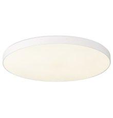Потолочный светильник Simple Story 1204-LED48CL