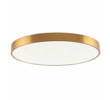 Потолочный светильник Zortes Tortty ZRS.02566.96