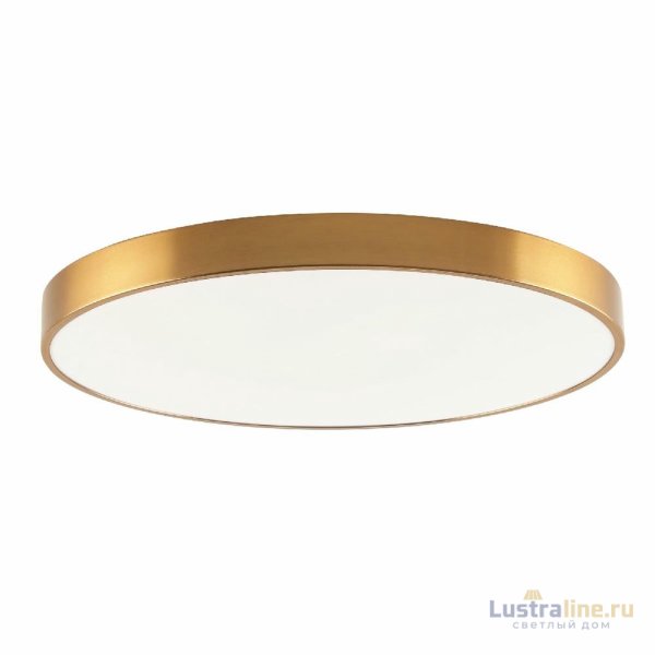 Потолочный светильник Zortes Tortty ZRS.02566.96 Потолочный светильник Zortes Tortty ZRS.02566.96