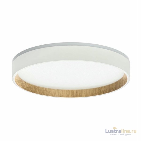 Потолочный светильник Citilux Etalon CL750240