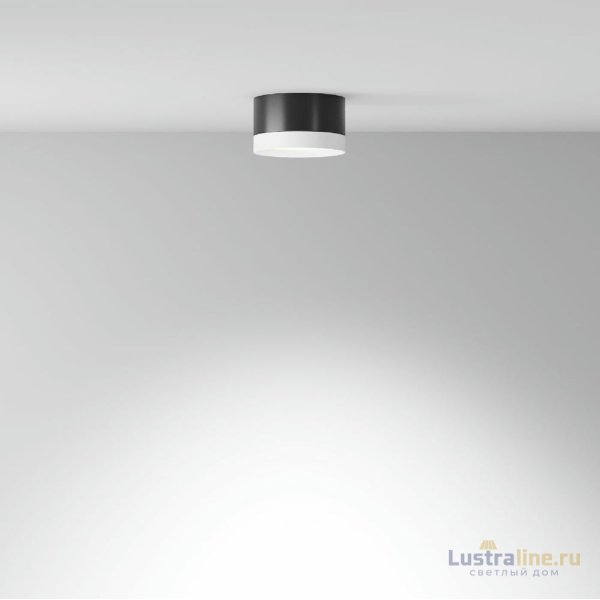 Потолочный светильник Maytoni Technical Hoop C086CL-GX53-SRD-BW