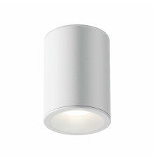Потолочный светильник Maytoni Antares C029CL-01W