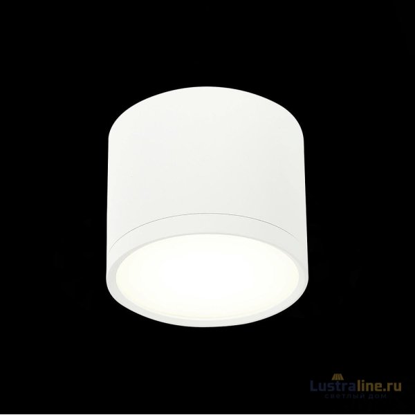 Потолочный светильник ST Luce Rene ST113.542.09