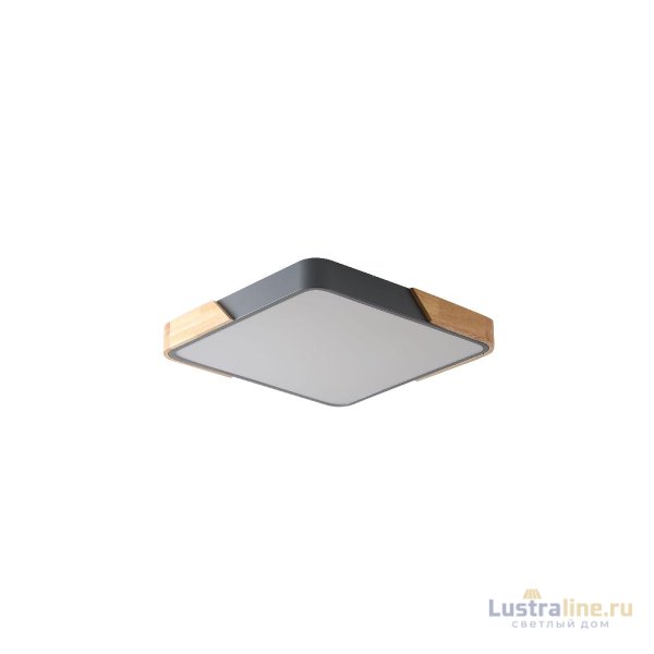 Потолочный светильник Zortes Alberro ZRS.01288.24 Потолочный светильник Zortes Alberro ZRS.01288.24