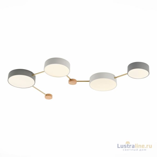 Потолочный светильник Evoluce Dossena SLE600102-04 Потолочный светильник Evoluce Dossena SLE600102-04