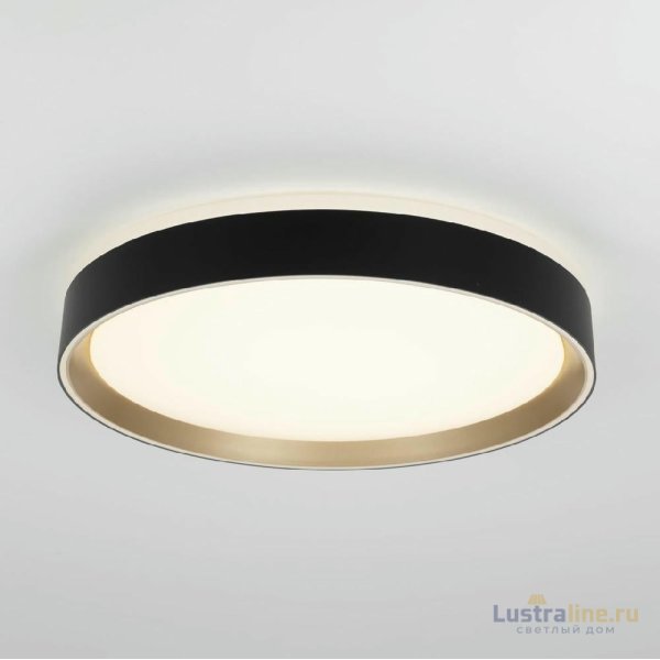 Потолочный светильник Citilux Boss CL751351G