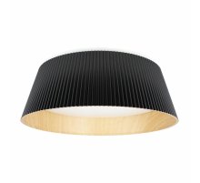 Потолочный светильник Loft IT Evans 10224 Black